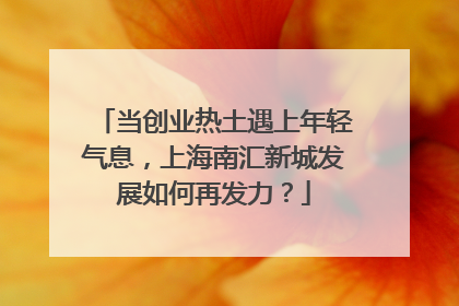 当创业热土遇上年轻气息，上海南汇新城发展如何再发力？